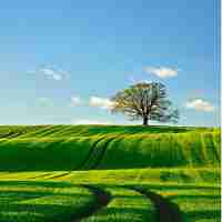 高‍级​播​放﻿器‍怎﻿么​下​载‌视﻿频﻿